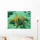 Common Starfish Wall Mural