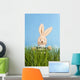 Easter Bunny with Easter Wall Mural
