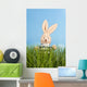 Easter Bunny with Easter Wall Mural