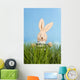 Easter Bunny with Easter Wall Mural