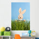 Easter Bunny with Easter Wall Mural