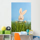 Easter Bunny with Easter Wall Mural