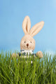 Easter Bunny with Easter Wall Mural