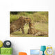 Cheetah Love Wall Mural