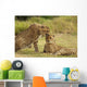 Cheetah Love Wall Mural