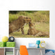 Cheetah Love Wall Mural