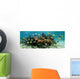 Underwater Panorama Coral Reef