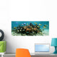 Underwater Panorama Coral Reef