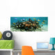 Underwater Panorama Coral Reef