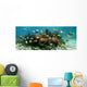 Underwater Panorama Coral Reef