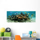 Underwater Panorama Coral Reef