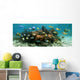 Underwater Panorama Coral Reef
