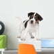 Jack Russell puppy Wall Decal