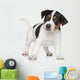 Jack Russell puppy Wall Decal