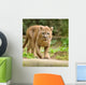 Cougar Wall Mural