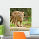 Cougar Wall Mural