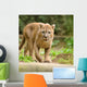 Cougar Wall Mural