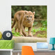 Cougar Wall Mural