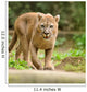 Cougar Wall Mural