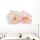 Two peony flowers on white Wall Decal