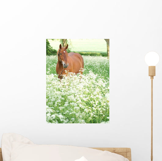 Horse Standing Wild Flowers Wall Mural