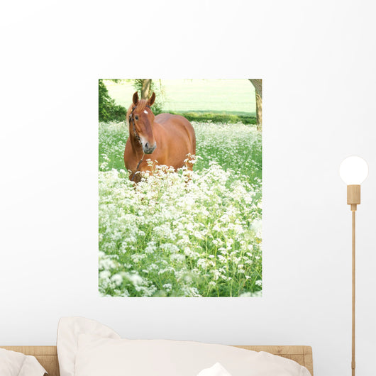 Horse Standing In Wild Flowers Wall Mural