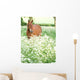Horse Standing In Wild Flowers Wall Mural