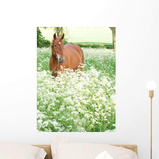 Horse Standing In Wild Flowers Wall Mural