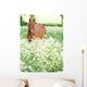 Horse Standing In Wild Flowers Wall Mural