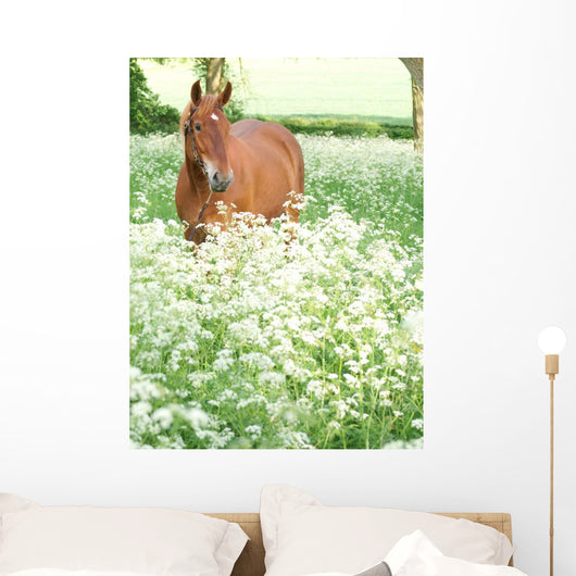 Horse Standing In Wild Flowers Wall Mural
