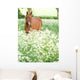 Horse Standing In Wild Flowers Wall Mural