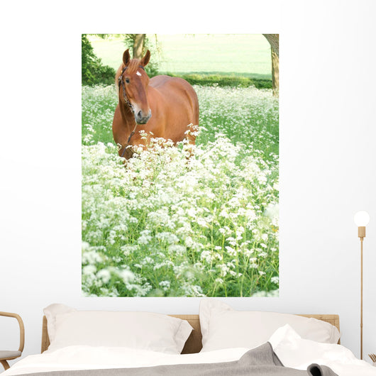 Horse Standing In Wild Flowers Wall Mural
