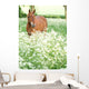 Horse Standing In Wild Flowers Wall Mural