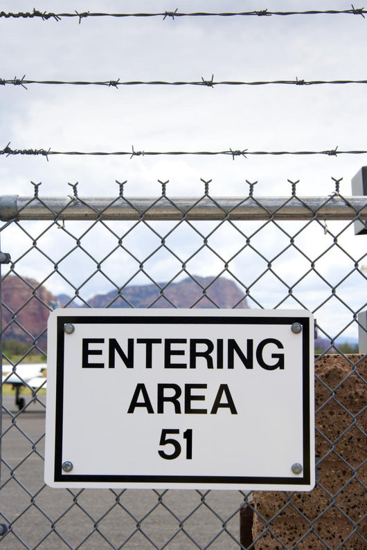 Area 51 Wall Mural