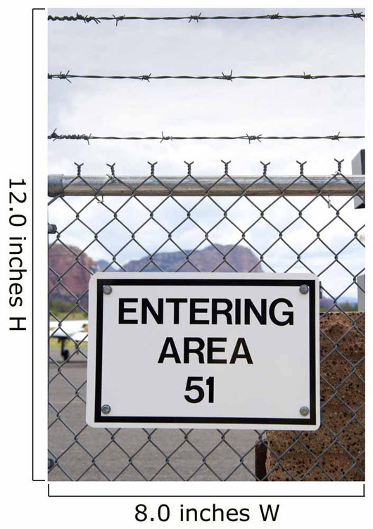 Area 51 Wall Mural