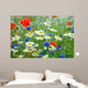 Flower Meadow Wildflowers Wall Mural