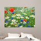Flower Meadow Wildflowers Wall Mural