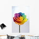 Close up of rainbow rose flower Wall Decal