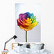 Close up of rainbow rose flower Wall Decal