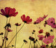 Old-fashioned Flower Wall Mural