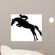 Show Jumping