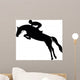 Show Jumping