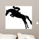 Show Jumping
