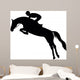 Show Jumping