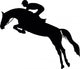 Show Jumping