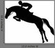 Show Jumping