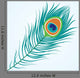 Vector Peacock Feather Wall Decal