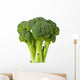 Broccoli Wall Decal