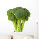 Broccoli Wall Decal