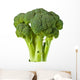 Broccoli Wall Decal